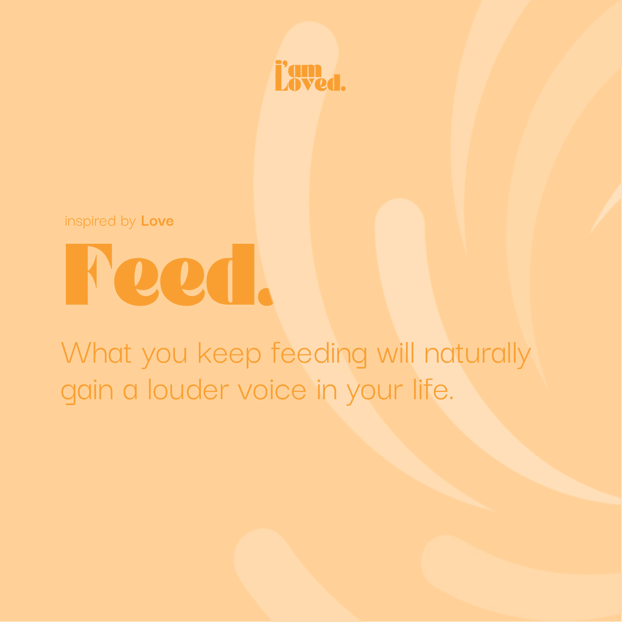 Feed